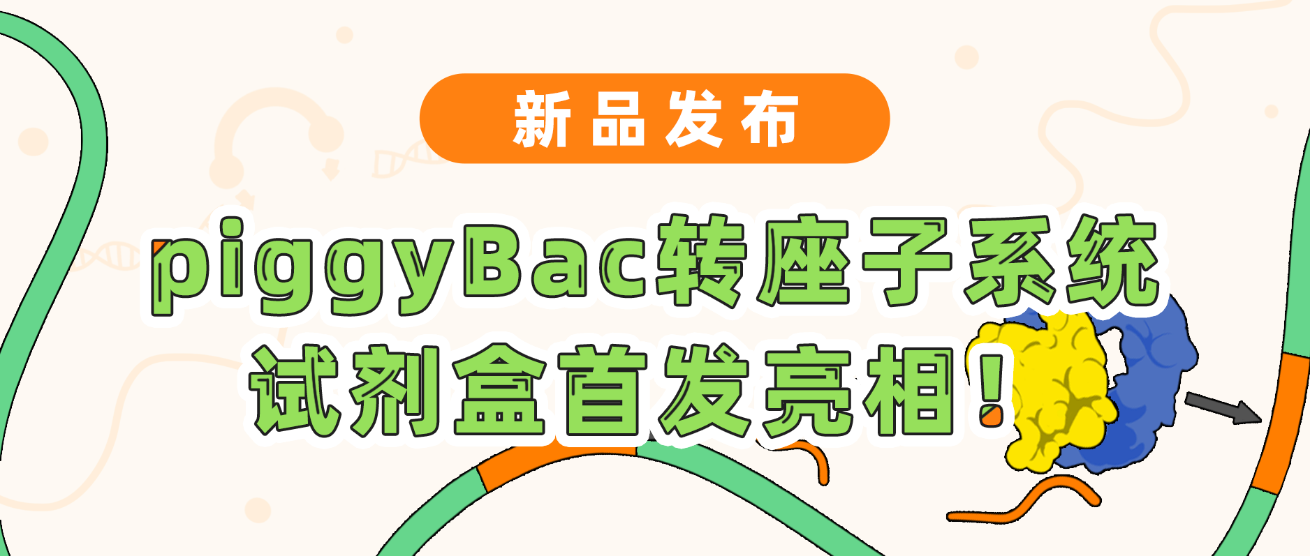 新品发布| EVO视讯 EVO真人生命基因piggyBac转座子系统试剂盒首发亮相！极速转座，千元不到体验高效基因递送！