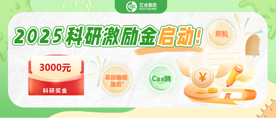 【EVO视讯 EVO真人生命基因】2025科研激励金启动！3000奖学金等你来拿！