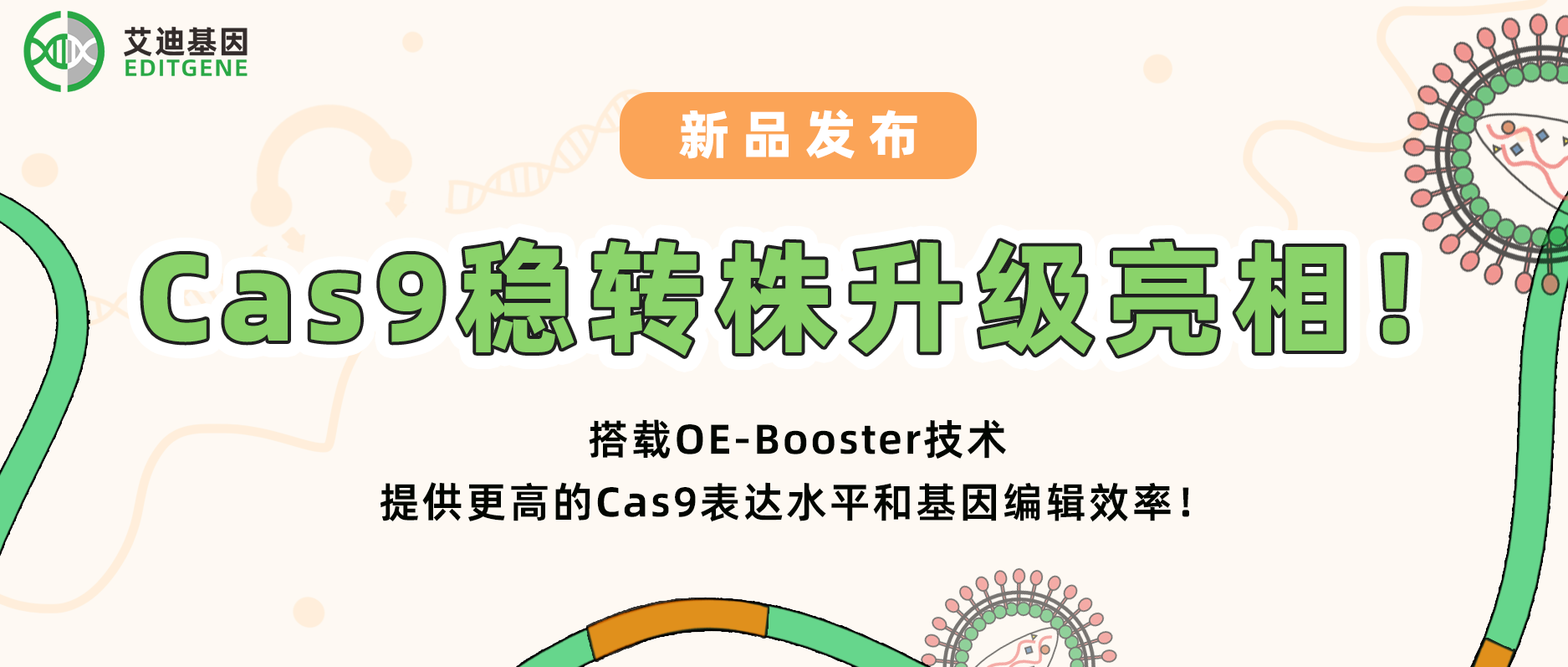 【科研新动力】EVO视讯 EVO真人生命基因Cas9稳转株升级亮相！搭载OE-Booster技术，给予更高的Cas9表达水平和基因编辑效率！