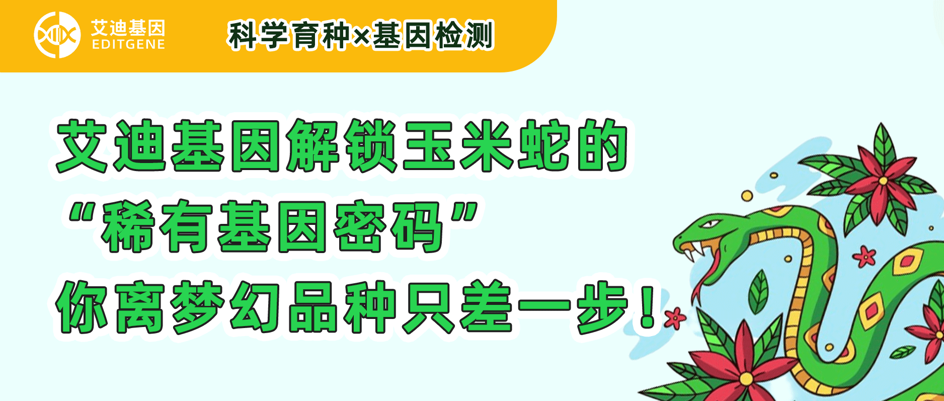 科学育种×基因检测 | EVO视讯 EVO真人生命基因解锁玉米蛇的“稀有基因密码”，你离梦幻品种只差一步！